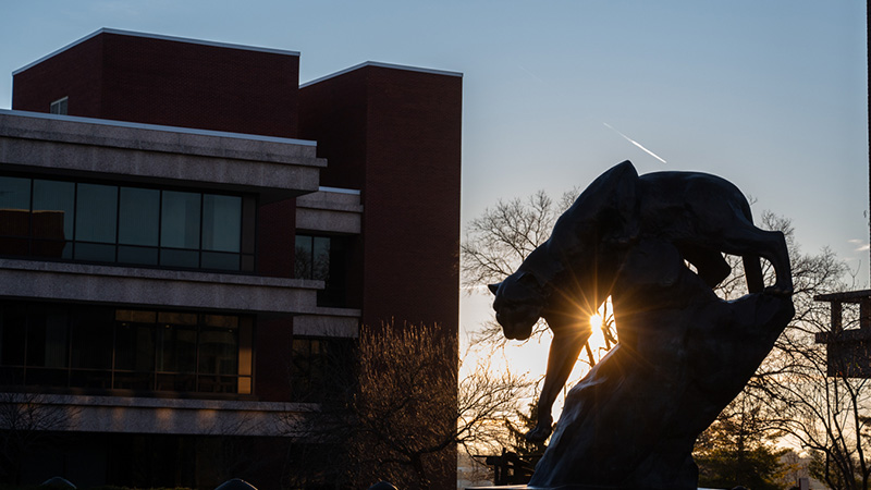 Outdoor photo cougar statue at dusk
